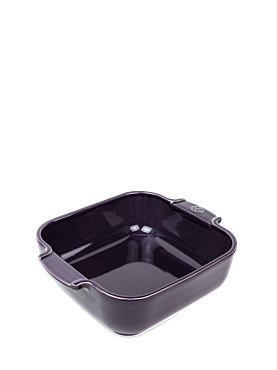 Appolia - Peugeot Saveurs